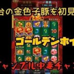 【カジノゲーム】(ゴールデンホイヤー) 人気台の金色子豚を初見打ち！【スマホゲーム】【長者への道】 (Golden Ho Yeah)