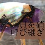 金継ぎ【呼び継ぎ編　バカラと黒蝶貝を接着する】Kintsugi