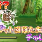 【パズドラ】余裕？ルーレット回復たまドラチャレンジ！！