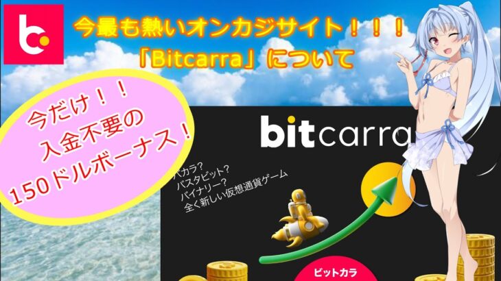 【日本初】バカラ・バイナリー・バスタビットを併せた新ジャンルゲーム【Bitcarra】