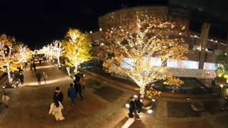 恵比寿　ガーデンプレイス　バカラシャンデリア　2　３６０°動画