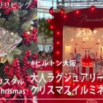 ヒルトン大阪のクリスマスイルミネーション【Christmas】Baccarat Chrismas バカラ クリスマス【CinematicVlog】