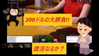 【バカラ】入金300ドル、3回マーチンで勝負!!