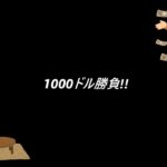 【バカラ】ポピン or 2000ドル【1000ドル勝負】