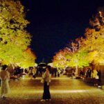 4K 世界最大級のバカラのシャンデリアが輝く恵比寿を夜散歩 | Ebisu | 2022年11月 | 東京倍速散歩