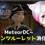 【FF14/MeteorDC】コンテンツルーレット消化の旅【Vtuber/黒乃ノワール】